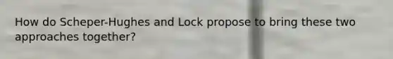 How do Scheper-Hughes and Lock propose to bring these two approaches together?