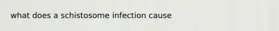 what does a schistosome infection cause