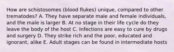 How are schistosomes (blood flukes) unique, compared to other trematodes? A. They have separate male and female individuals, and the male is larger B. At no stage in their life cycle do they leave the body of the host C. Infections are easy to cure by drugs and surgery D. They strike rich and the poor, educated and ignorant, alike E. Adult stages can be found in intermediate hosts