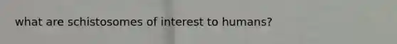 what are schistosomes of interest to humans?
