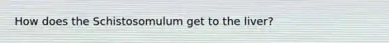 How does the Schistosomulum get to the liver?