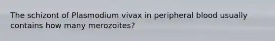 The schizont of Plasmodium vivax in peripheral blood usually contains how many merozoites?