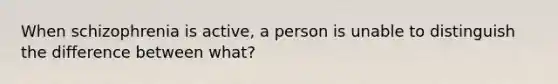 When schizophrenia is active, a person is unable to distinguish the difference between what?