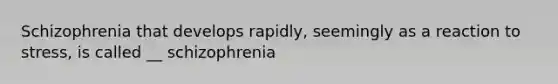 Schizophrenia that develops rapidly, seemingly as a reaction to stress, is called __ schizophrenia