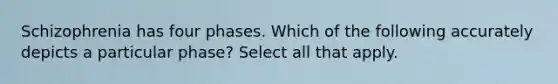 Schizophrenia has four phases. Which of the following accurately depicts a particular phase? Select all that apply.