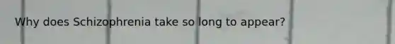 Why does Schizophrenia take so long to appear?