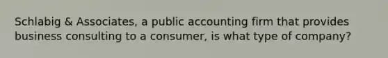 Schlabig​ & Associates, a public accounting firm that provides business consulting to a​ consumer, is what type of​ company?