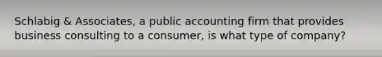 Schlabig & Associates, a public accounting firm that provides business consulting to a consumer, is what type of company?