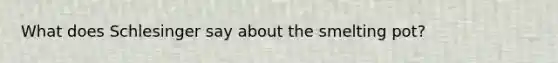 What does Schlesinger say about the smelting pot?