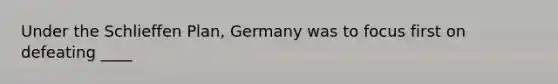 Under the Schlieffen Plan, Germany was to focus first on defeating ____