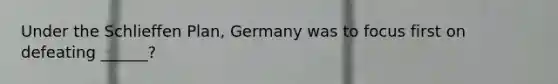 Under the Schlieffen Plan, Germany was to focus first on defeating ______?