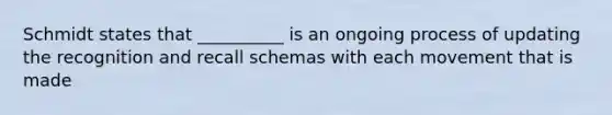 Schmidt states that __________ is an ongoing process of updating the recognition and recall schemas with each movement that is made