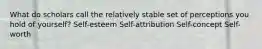 What do scholars call the relatively stable set of perceptions you hold of yourself? Self-esteem Self-attribution Self-concept Self-worth