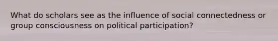 What do scholars see as the influence of social connectedness or group consciousness on political participation?