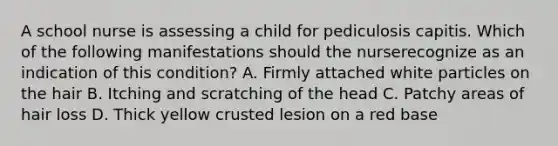 A school nurse is assessing a child for pediculosis capitis. Which of the following manifestations should the nurserecognize as an indication of this condition? A. Firmly attached white particles on the hair B. Itching and scratching of the head C. Patchy areas of hair loss D. Thick yellow crusted lesion on a red base