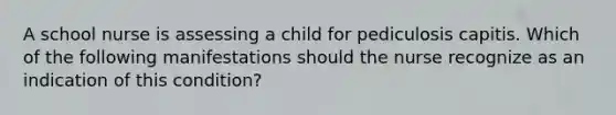 A school nurse is assessing a child for pediculosis capitis. Which of the following manifestations should the nurse recognize as an indication of this condition?