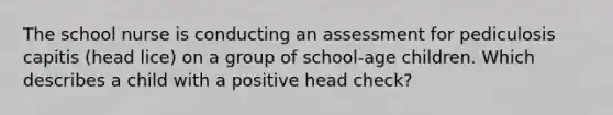 The school nurse is conducting an assessment for pediculosis capitis (head lice) on a group of school-age children. Which describes a child with a positive head check?