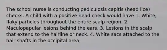 The school nurse is conducting pediculosis capitis (head lice) checks. A child with a positive head check would have 1. White, flaky particles throughout the entire scalp region. 2. Maculopapular lesions behind the ears. 3. Lesions in the scalp that extend to the hairline or neck. 4. White sacs attached to the hair shafts in the occipital area.