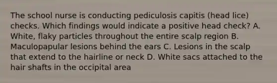 The school nurse is conducting pediculosis capitis (head lice) checks. Which findings would indicate a positive head check? A. White, flaky particles throughout the entire scalp region B. Maculopapular lesions behind the ears C. Lesions in the scalp that extend to the hairline or neck D. White sacs attached to the hair shafts in the occipital area