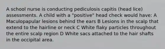 A school nurse is conducting pediculosis capitis (head lice) assessments. A child with a "positive" head check would have: A Maculopapular lesions behind the ears B Lesions in the scalp that extend to the hairline or neck C White flaky particles throughout the entire scalp region D White sacs attached to the hair shafts in the occipital area.