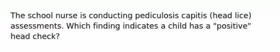 The school nurse is conducting pediculosis capitis (head lice) assessments. Which finding indicates a child has a "positive" head check?