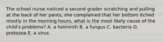 The school nurse noticed a second grader scratching and pulling at the back of her pants, she complained that her bottom itched mostly in the morning hours, what is the most likely cause of the child's problems? A. a helminth B. a fungus C. bacteria D. protozoa E. a virus