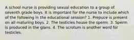 A school nurse is providing sexual education to a group of seventh grade boys. It is important for the nurse to include which of the following in the educational session? 1. Prepuce is present on all maturing boys. 2. The testicles house the sperm. 3. Sperm is produced in the glans. 4. The scrotum is another word for testicles.