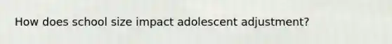 How does school size impact adolescent adjustment?