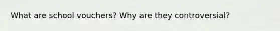 What are school vouchers? Why are they controversial?