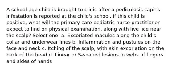 A school-age child is brought to clinic after a pediculosis capitis infestation is reported at the child's school. If this child is positive, what will the primary care pediatric nurse practitioner expect to find on physical examination, along with live lice near the scalp? Select one: a. Excoriated macules along the child's collar and underwear lines b. Inflammation and pustules on the face and neck c. Itching of the scalp, with skin excoriation on the back of the head d. Linear or S-shaped lesions in webs of fingers and sides of hands