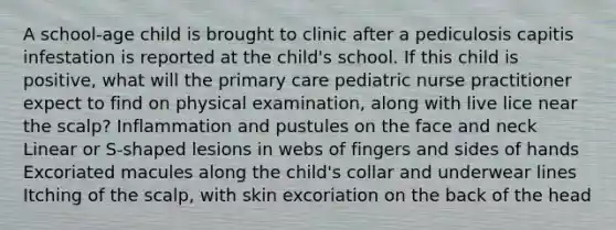 A school-age child is brought to clinic after a pediculosis capitis infestation is reported at the child's school. If this child is positive, what will the primary care pediatric nurse practitioner expect to find on physical examination, along with live lice near the scalp? Inflammation and pustules on the face and neck Linear or S-shaped lesions in webs of fingers and sides of hands Excoriated macules along the child's collar and underwear lines Itching of the scalp, with skin excoriation on the back of the head