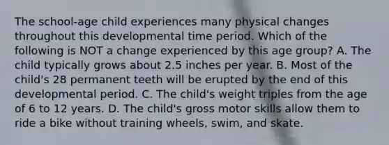 The school-age child experiences many physical changes throughout this developmental time period. Which of the following is NOT a change experienced by this age group? A. The child typically grows about 2.5 inches per year. B. Most of the child's 28 permanent teeth will be erupted by the end of this developmental period. C. The child's weight triples from the age of 6 to 12 years. D. The child's gross motor skills allow them to ride a bike without training wheels, swim, and skate.