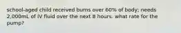 school-aged child received burns over 60% of body; needs 2,000mL of IV fluid over the next 8 hours. what rate for the pump?