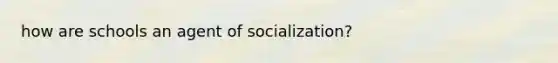 how are schools an agent of socialization?