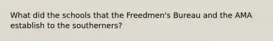 What did the schools that the Freedmen's Bureau and the AMA establish to the southerners?