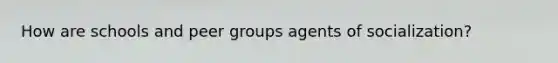How are schools and peer groups agents of socialization?