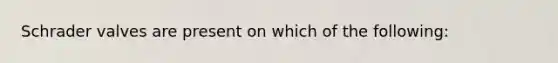 Schrader valves are present on which of the following: