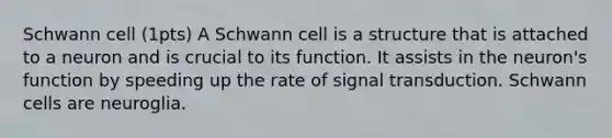 Schwann cell (1pts) A Schwann cell is a structure that is attached to a neuron and is crucial to its function. It assists in the neuron's function by speeding up the rate of signal transduction. Schwann cells are neuroglia.