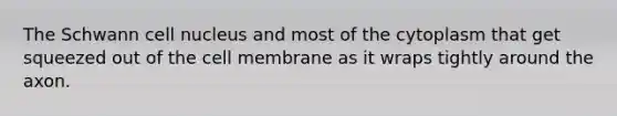 The Schwann cell nucleus and most of the cytoplasm that get squeezed out of the cell membrane as it wraps tightly around the axon.