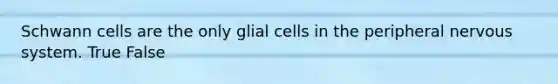 Schwann cells are the only glial cells in the peripheral nervous system. True False