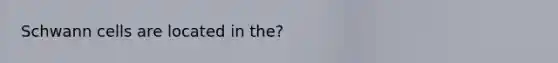 Schwann cells are located in the?