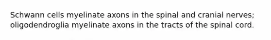 Schwann cells myelinate axons in the spinal and cranial nerves; oligodendroglia myelinate axons in the tracts of the spinal cord.