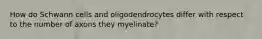 How do Schwann cells and oligodendrocytes differ with respect to the number of axons they myelinate?