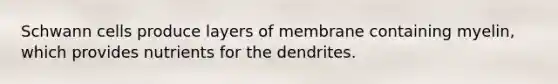 Schwann cells produce layers of membrane containing myelin, which provides nutrients for the dendrites.