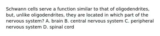 Schwann cells serve a function similar to that of oligodendrites, but, unlike oligodendrites, they are located in which part of the nervous system? A. brain B. central nervous system C. peripheral nervous system D. spinal cord