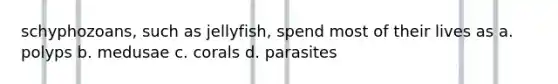 schyphozoans, such as jellyfish, spend most of their lives as a. polyps b. medusae c. corals d. parasites