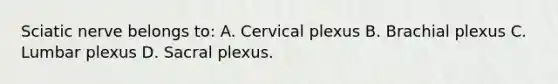 Sciatic nerve belongs to: A. Cervical plexus B. Brachial plexus C. Lumbar plexus D. Sacral plexus.