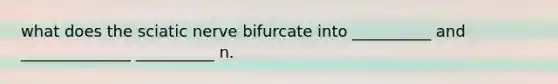 what does the sciatic nerve bifurcate into __________ and ______________ __________ n.