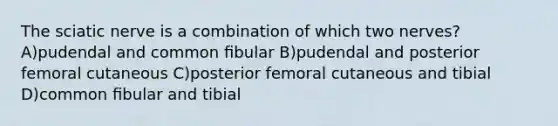 The sciatic nerve is a combination of which two nerves? A)pudendal and common ﬁbular B)pudendal and posterior femoral cutaneous C)posterior femoral cutaneous and tibial D)common ﬁbular and tibial