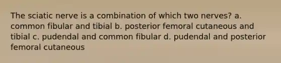 The sciatic nerve is a combination of which two nerves? a. common fibular and tibial b. posterior femoral cutaneous and tibial c. pudendal and common fibular d. pudendal and posterior femoral cutaneous